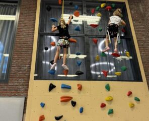 Groep 3